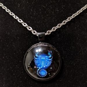 Zodiac signs Necklace Unisex